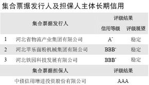 石家莊2012年第一期中小企業(yè)集合票據(jù)AAA信用評(píng)級(jí) 專業(yè)服務(wù)助力企業(yè)融資與發(fā)展